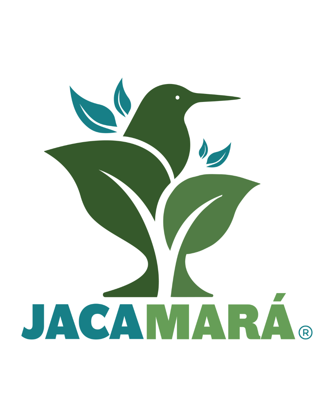 Jacamara es el nombre comun de un ave conocida científicamente como Galbula.